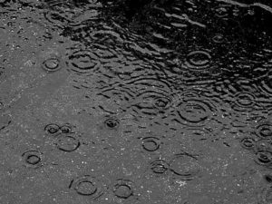 RLS Here comes Rain Again, licensed under the Creative Commons Attributon 2.0 Generic license by author Juni from Kyoto Japan