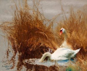 Svanar vid strandkanten by Bruno Liljefors, public domain